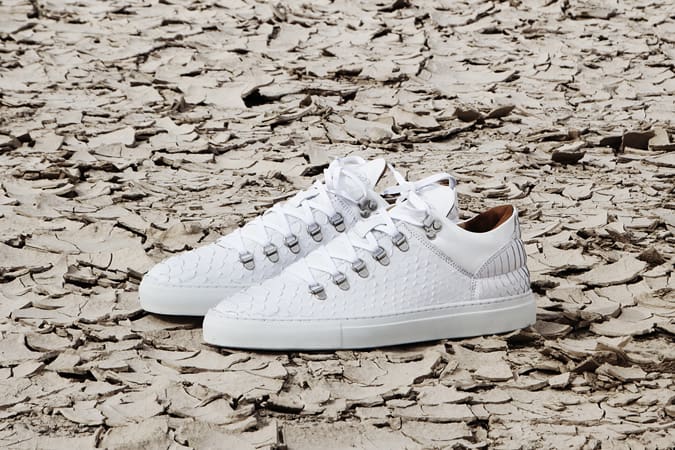 Filling Pieces White Python Trainer