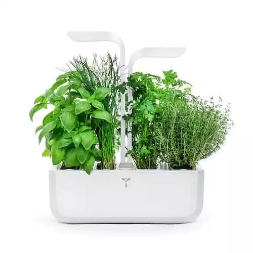 LED Herb Garden