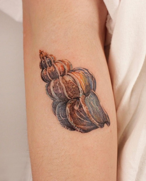 Colorful Seashell Tattoo