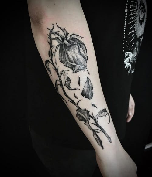Dead Rose Tattoo