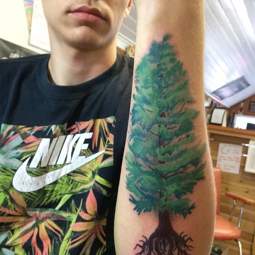 Evergreen Tree Tattoo