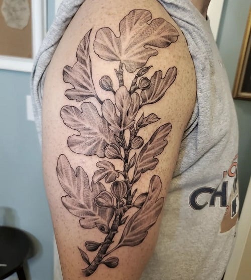 Fig Tree Tattoo
