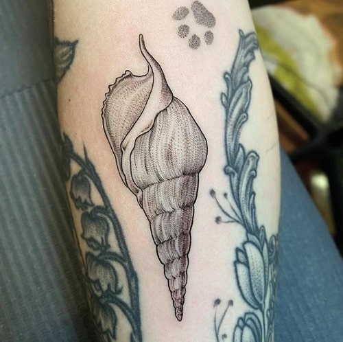 Horn Shell Tattoo
