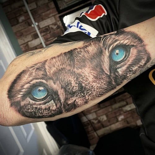 Lion Eyes Tattoo