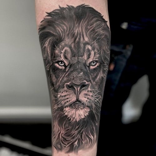 Lion Forearm Tattoo