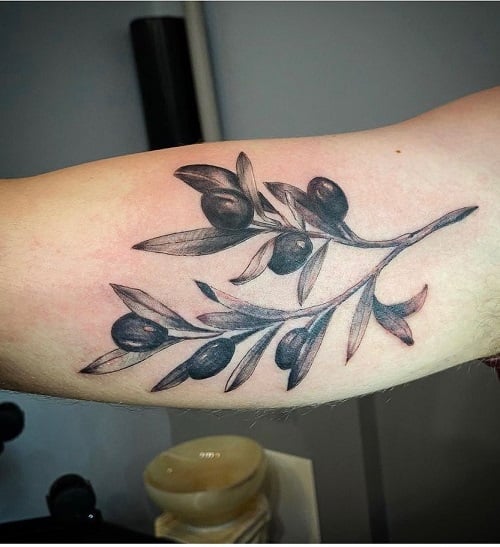 Olive Tree Tattoo