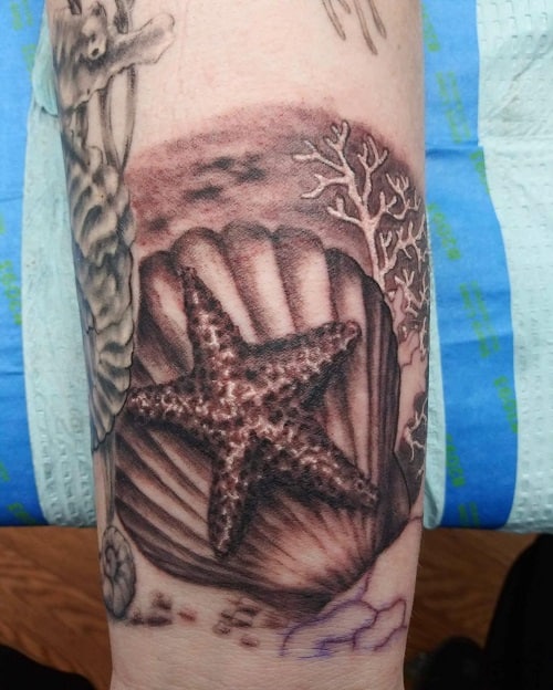 Realistic Seashell Tattoo