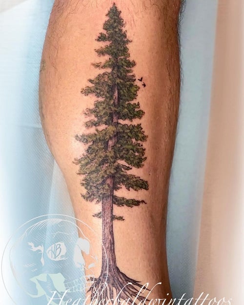 Redwood Tree Tattoo