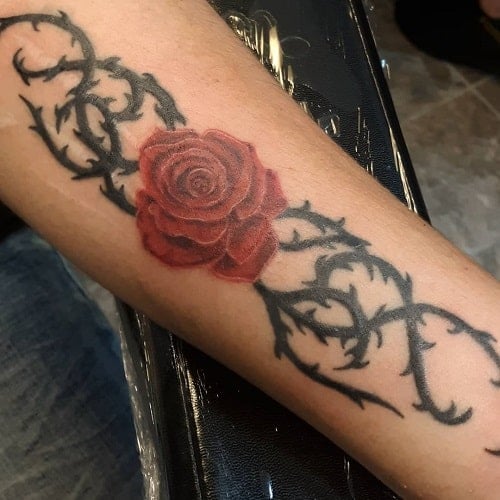 Rose with Thorns
