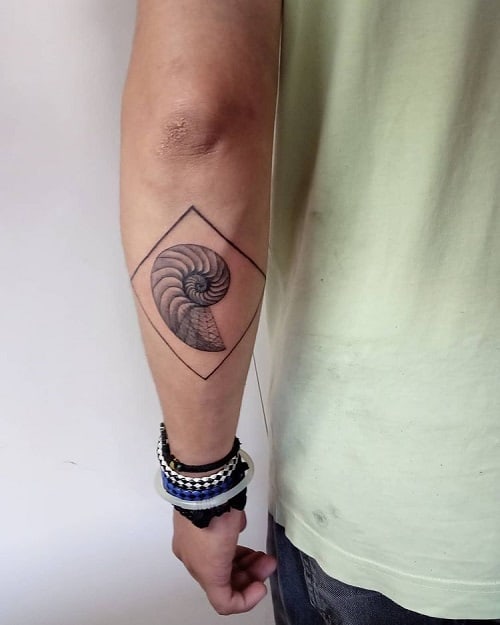 Seashell Drawing Tattoo
