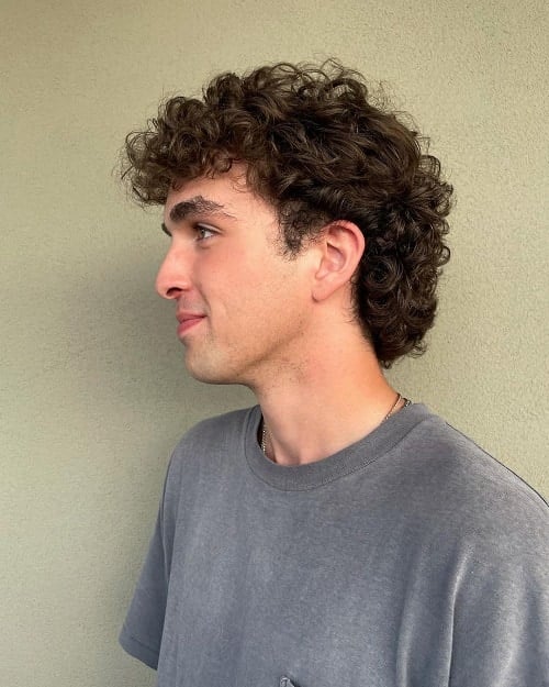 Soft Mullet Haircut