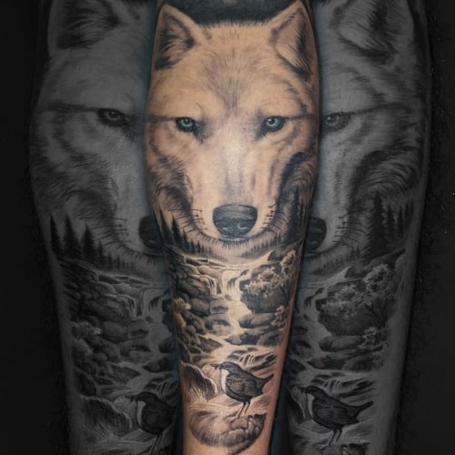 White wolf tattoo