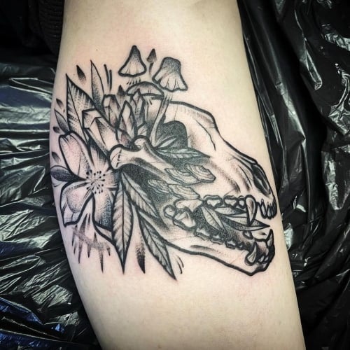Wolf skull tattoo_