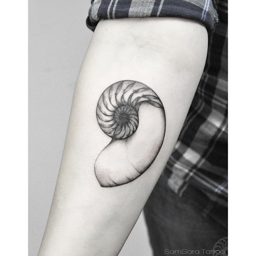 X-ray Seashell Tattoo