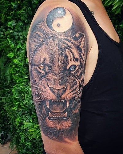 Half Lion Half Tiger Tattoo