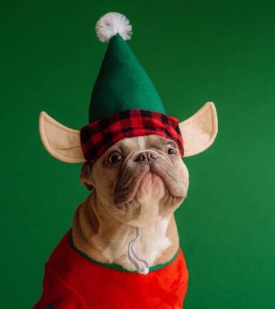 50 Funny Christmas Gifts For Everyone on Your List