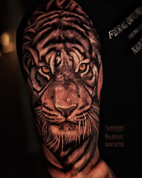 Tiger Face Tattoo