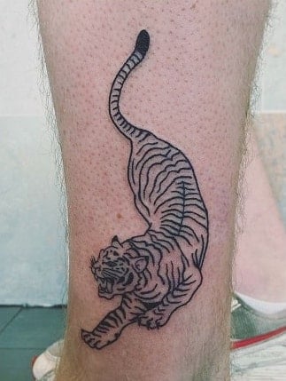 Tiger Outline Tattoo