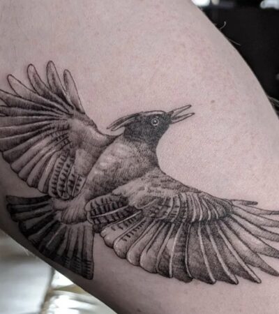 35 Of The Best Feather Tattoos For Men in 2026