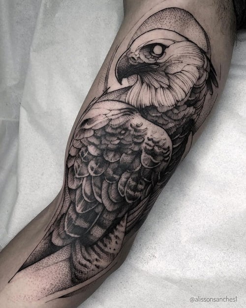 Harpy Eagle Tattoo