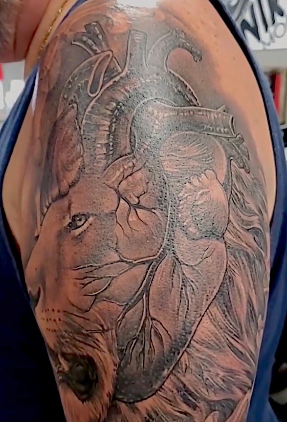 Lion Tattoo