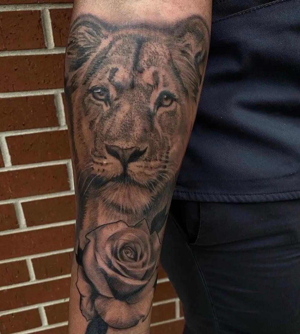 Lion Tattoo