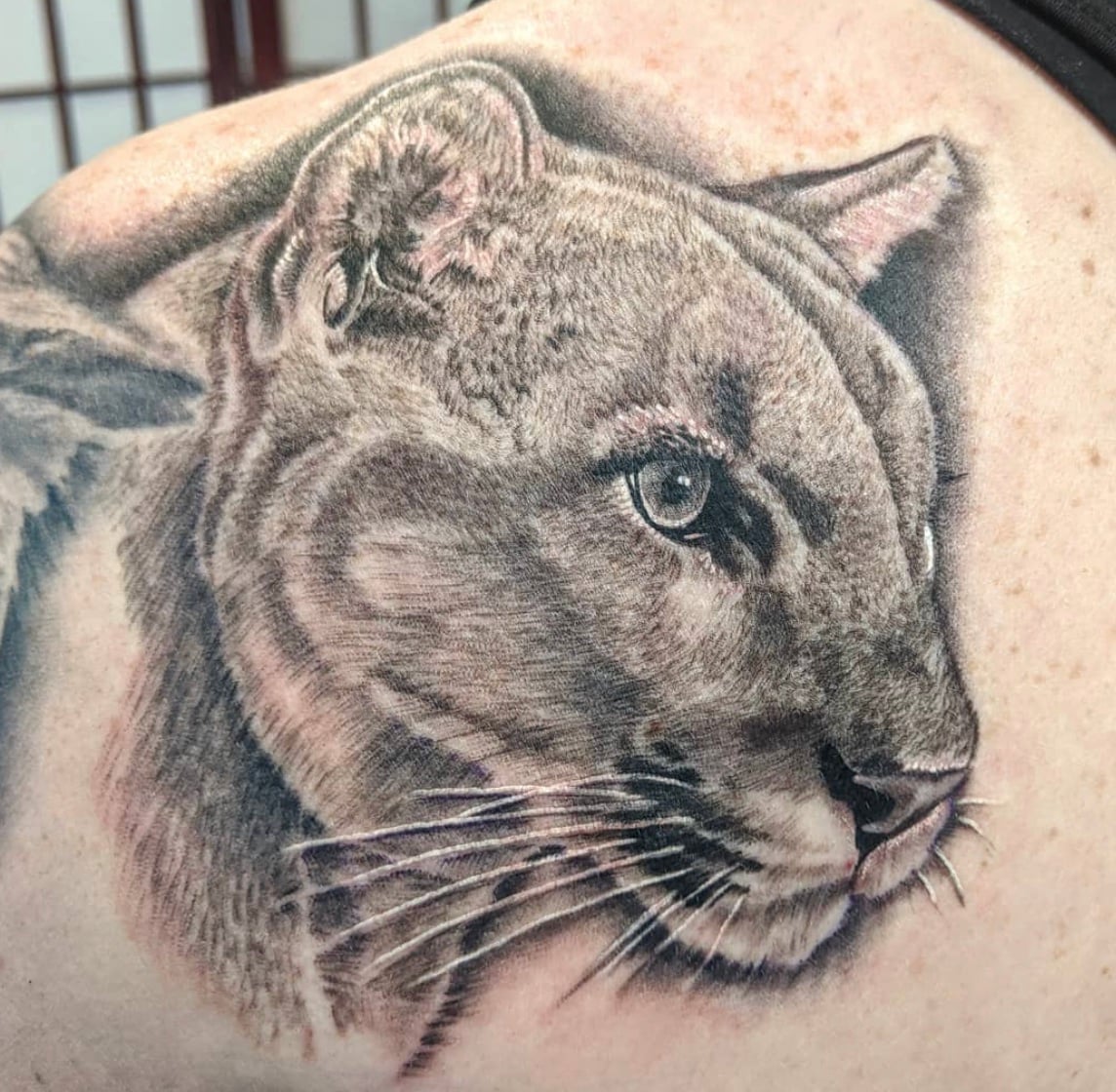 Mountain Lion Tattoo