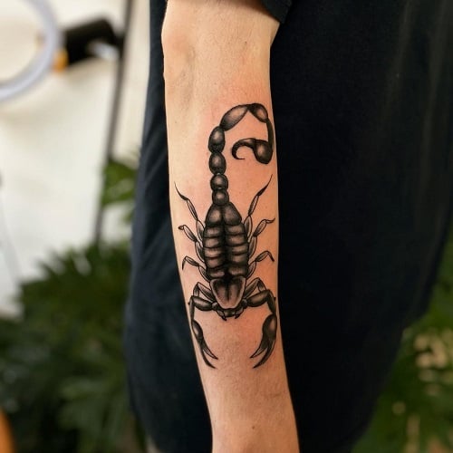 Scorpion Forearm Tattoo