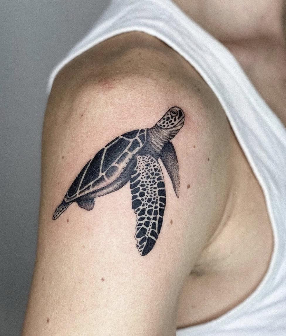 Turtle Tattoo 