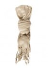 Clothing Image
