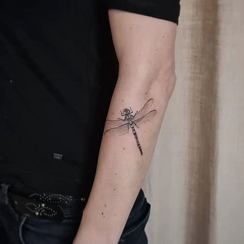 3D Dragonfly Tattoo
