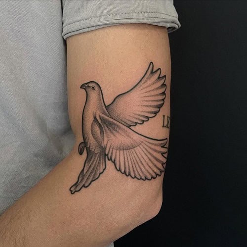 Dove Tattoo