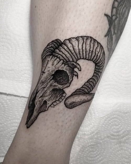 Goat Skull Tattoo