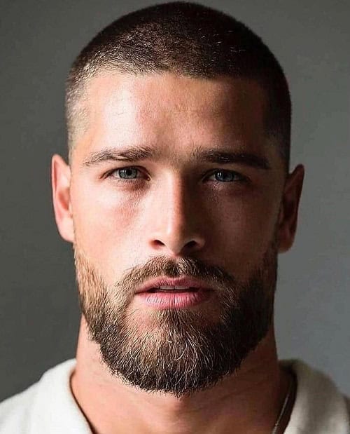 Short Rounded Beard