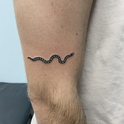 Simple Snake Tattoo