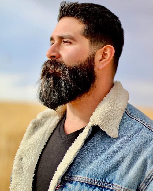Long Beard With Faded Sideburns