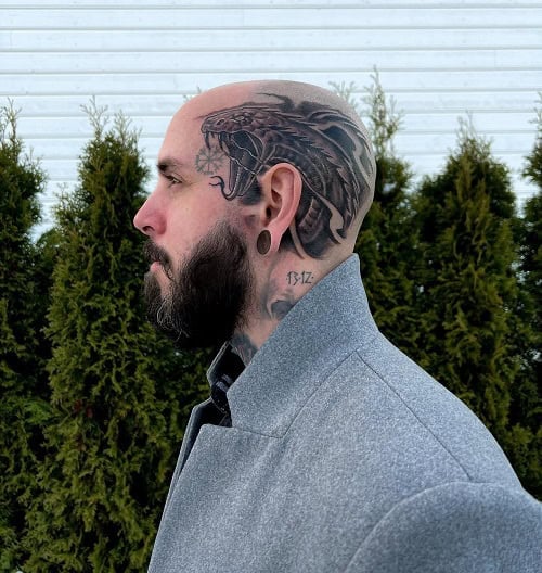 Short Viking Beard