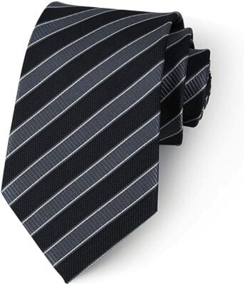 Eneston Silk & Microfiber Tie