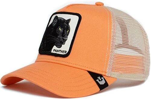 Goorin Bros. The Farm Trucker Cap