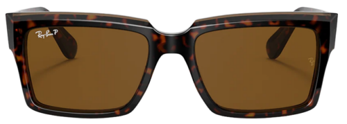 Ray Ban Inverness Sunglasses