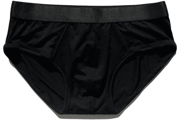 CDLP Y Brief