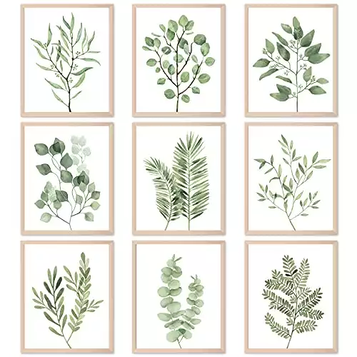 9PCS Botanical Plant Wall Art Prints Green Plant Wall Decor