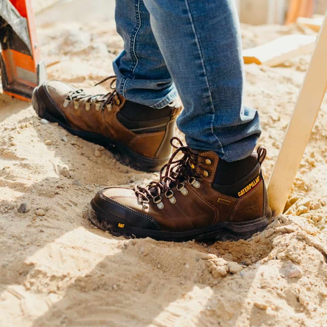 working with Cat Boot on the sand