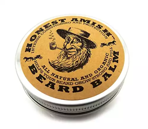 91AexnYgiCL._SL500_