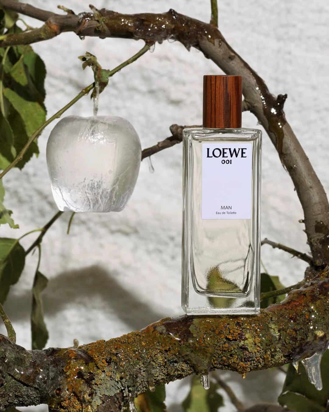 a bottle of Loewe 001 on top of a tree branch