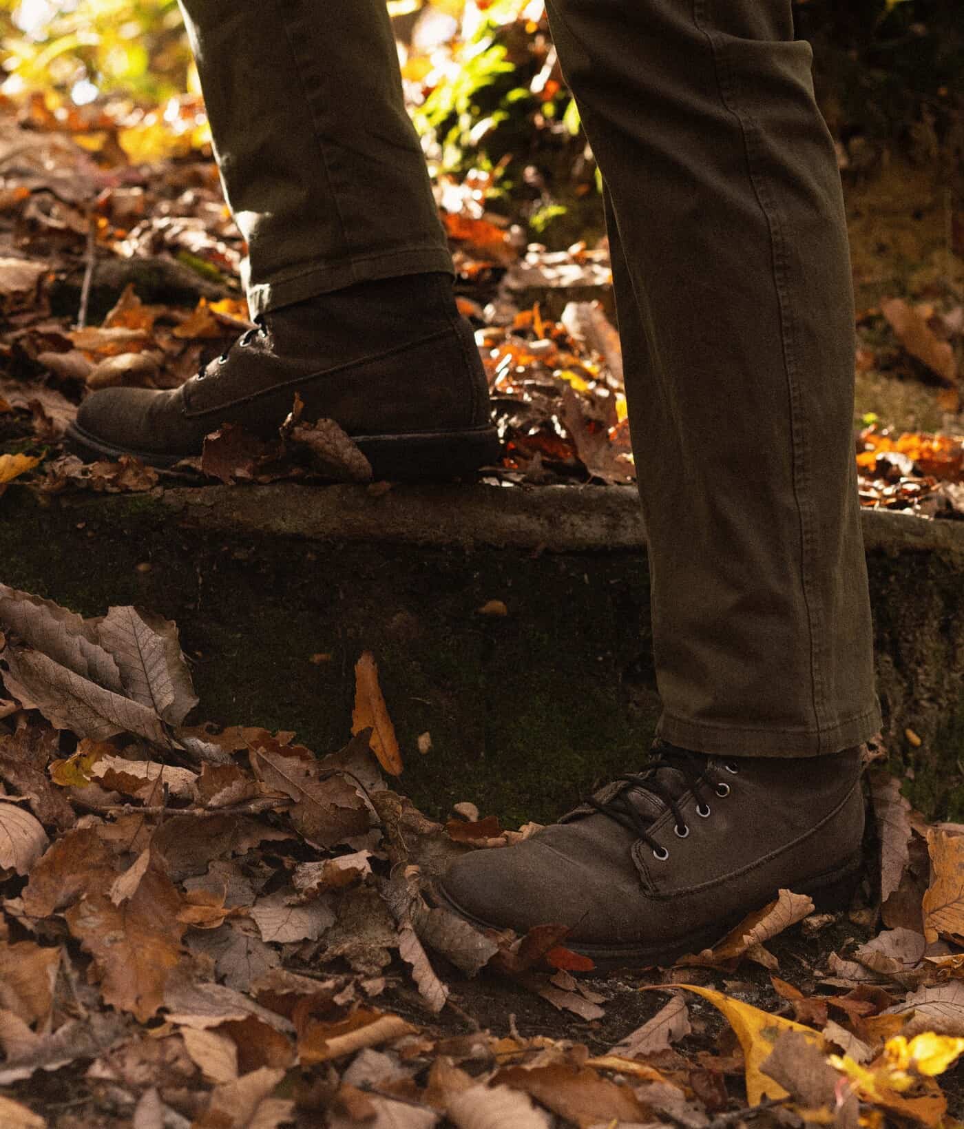 following the forest trail