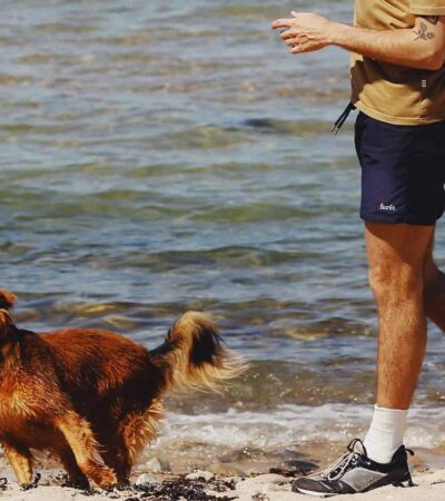 10 Best Hybrid Shorts For Men – Ready for Summer 2026