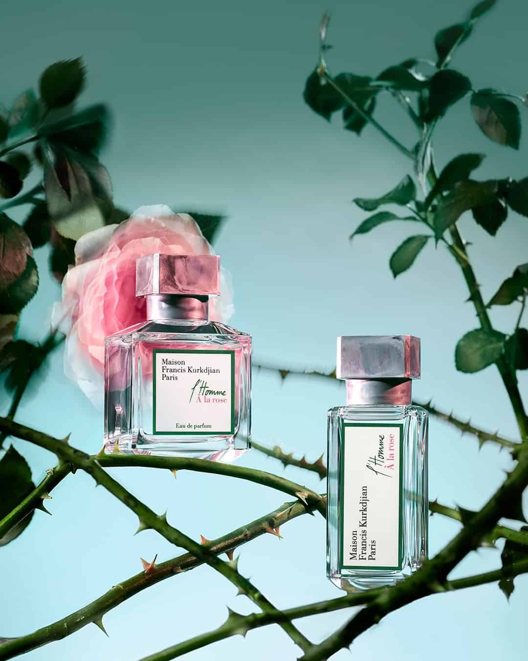 bottles of L' Homme A La Rose on thorny vines