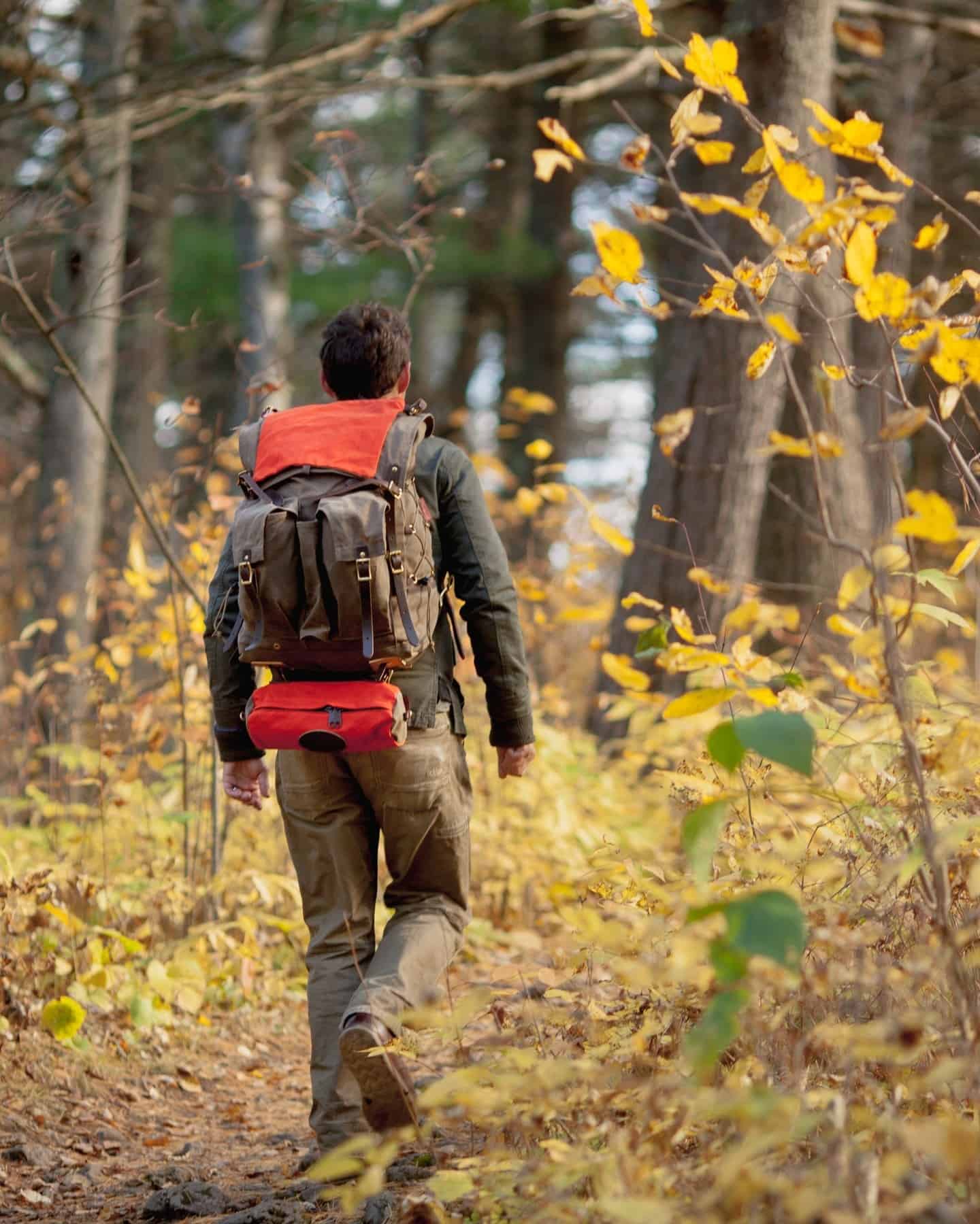 man with a backpack hiking in the forest