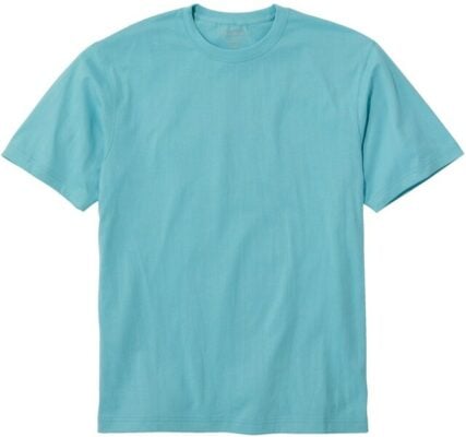 L.L. Bean Carefree Unshrinkable Tee